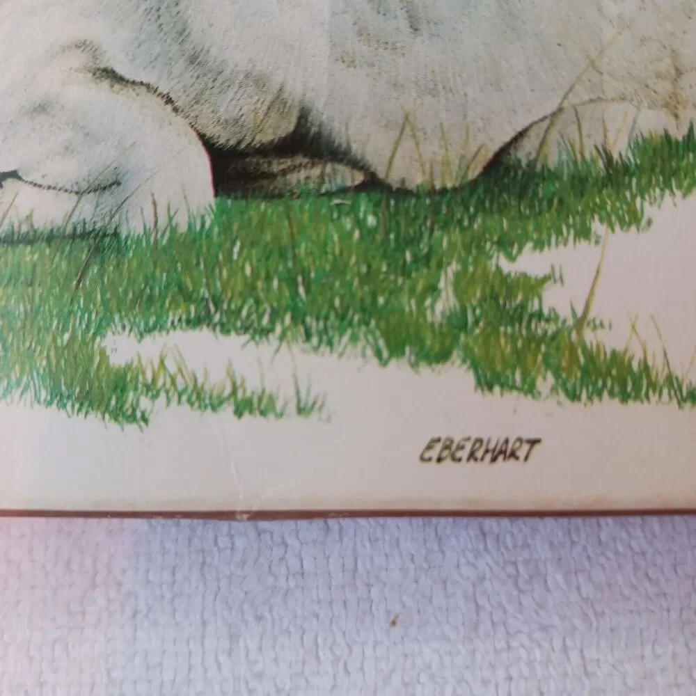 American Wildlife Greeting 1980 american